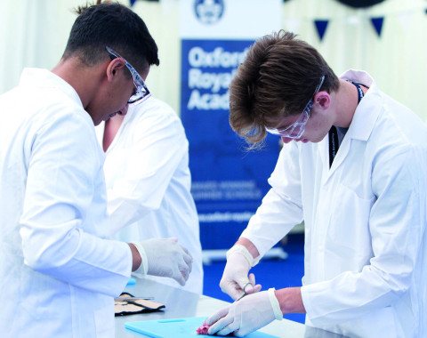 Академическое лето в Кембридже/Лечение будущего: медицина и болезни