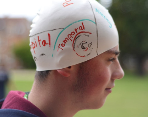 Экспериментальная Психология (Университет Кембриджа)