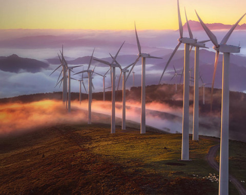 Климат, Политика, Глобальное Лидерство (Университет Оксфорда)