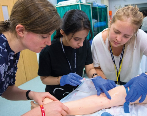 Медицина и болезни  (Yale University)