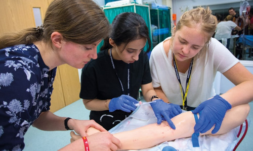 Медицина и болезни (Yale University) Медицина и болезни (Yale University)